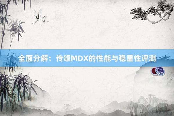 全面分解：传颂MDX的性能与稳重性评测